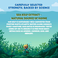 Health4All Kids Sea Kelp Iodine 75mcg 90 Chewable Tablets, Supports Learning & Growth
