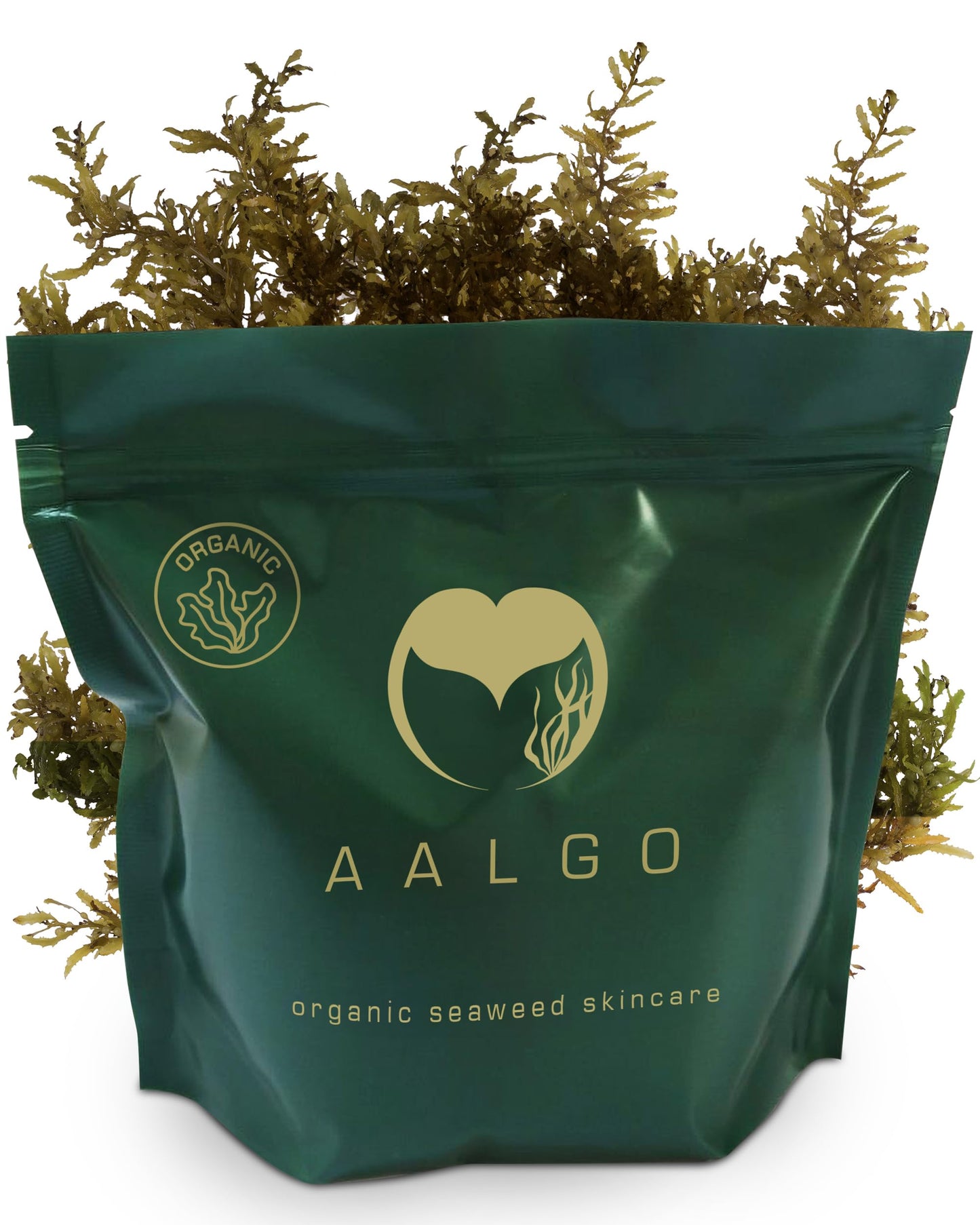 AALGO Seaweed Powder - Aalgo Skincare Organic Seaweed Sourced from Nutrient-Rich Atlantic Ocean - Gives Comfort from Skin Issues with Regular Use - Deeply Hydrates & Nourishes the Skin - 600 g