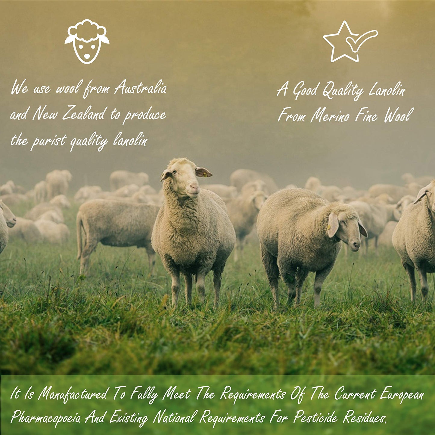 Lanolin. Adeps Lanae. 60ml Jar, use directly on the hands and feet especially for rough dry and cracked skin by Sea & Sea