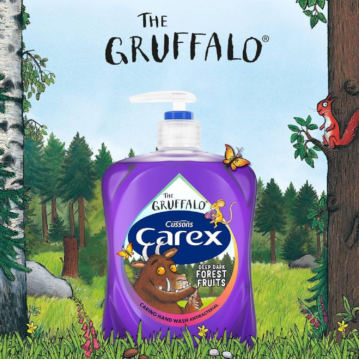 CAREX Carex Gruffalo Deep Dark Forest Fruits Hand Wash, Dermatologically Tested Liquid Soap that Clean and Protect Hands, 250ml