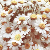 Naissance Relaxation Bliss Destressing Massage Oil - 100ml - Grapeseed Oil Base with Lavender & Chamomile Massage Therapy for Muscle Relax