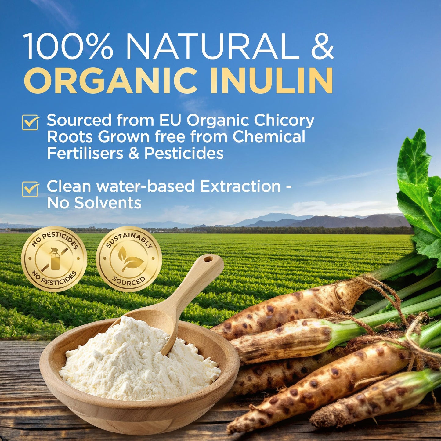 Organic Inulin Powder - 250g Prebiotic Fibre for Gut Health, Natural High Strength Fibre Supplement by Inner Vitality