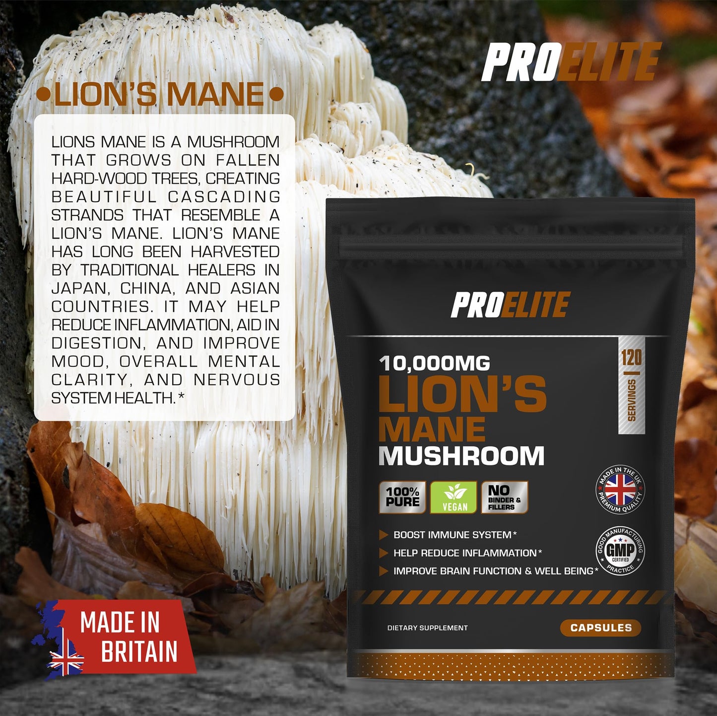 Lions Mane Mushroom Supplement 10,000mg - 120 Capsules Vegan High Strength 20:1 Extract � Lions Mane Capsule Not Powder or Tablets Made in The UK by PROELITE