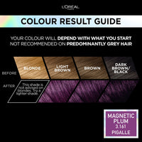 L'Oreal Paris L'Oréal Paris Permanent Hair Colour, Long-Lasting Shine and Intense Colour, For up to 8 Weeks, Preference Vivids (Colorista), Magnetic Plum 3.16, x1 pack