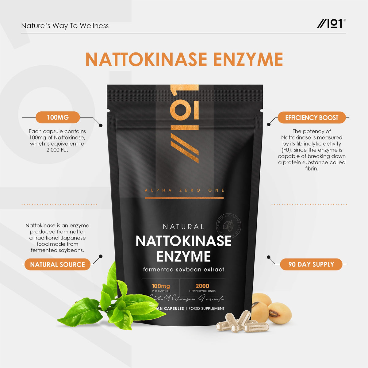 ALPHA01 Nattokinase 100mg (2000 FU) – Made with BioPerine® for Enhanced Abosorption - 90 Vegan Capsules (3 Months Supply) - Resealable and Recyclable Pouch by Alpha01
