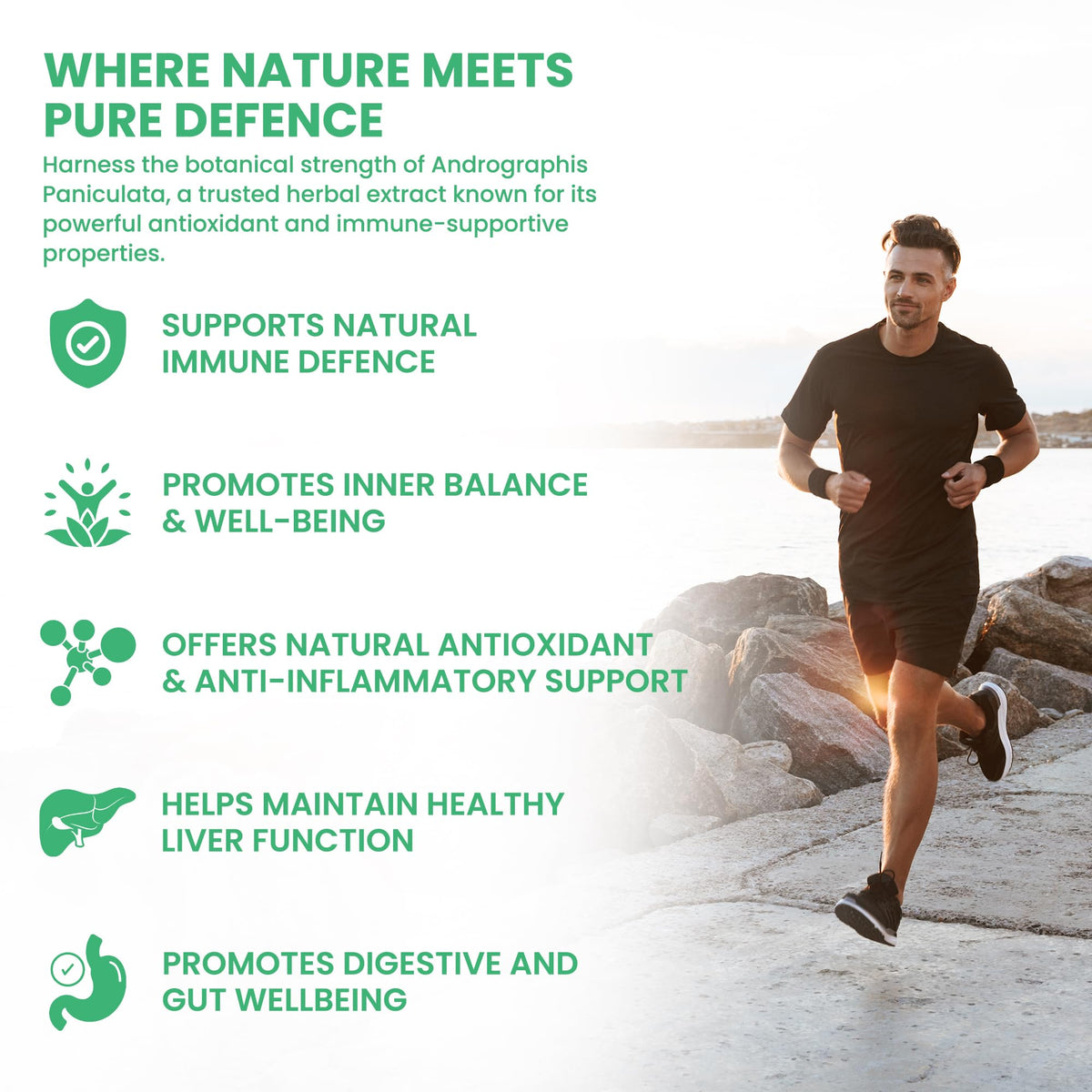 ALZURO LABS Alzuro Labs Andrographis Paniculata 8,000mg Eq - 120 Vegan Capsules | Botanical Support for Immune & Liver Wellness | 20:1 Kalmegh Extract (10% Andrographolides) | GMP & Lab Tested | 4 Months Supply