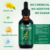 Tamiodfo Mullein Drops, Mullein Leaf Extract Herbal Supplements Drops for Fast Absorption