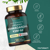 Organic Ashwagandha KSM-66 1200mg | 120 Count | Vegan Powder Capsule Supplement | by Horbaach