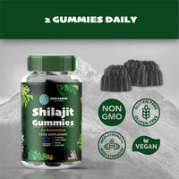 New Earth Essentials Shilajit Gummies with Sea Moss, Lion’s Mane, Ashwagandha, Turmeric, Ginger, Rhodiola, Vitamins D3 & C, Zinc, and Magnesium - 60 Vegan Gummies