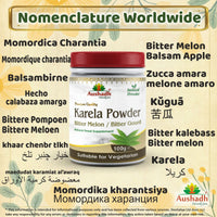 Aushadh Bitter Gourd (Karela) Powder