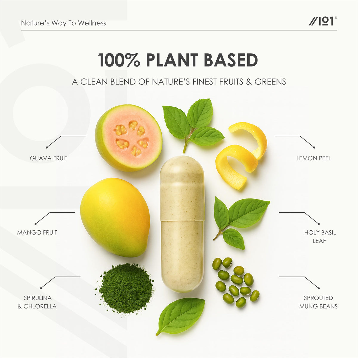 ALPHA01 Organic Vitamin B Complex – 100% Plant Based Blend – 60 Vegan Capsules – All 8 B Vitamins B1 B2 B3 B5 B6 B7 B9 B12 – Energy Support – by Alpha01