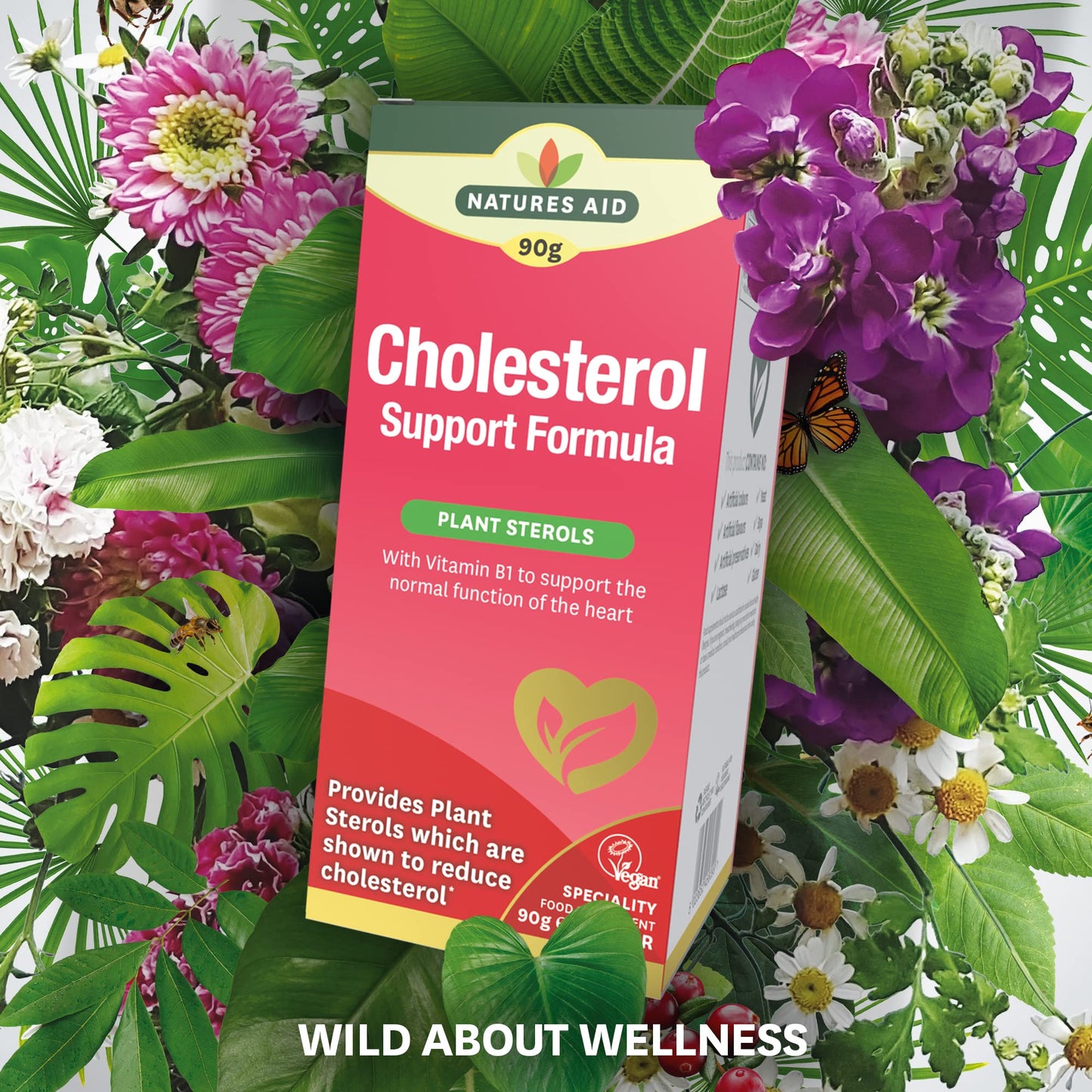 Natures Aid Cholesterol Support Formula, with Plant Sterols & Vitamin B1, 90 g Powder,145600
