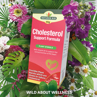 Natures Aid Cholesterol Support Formula, with Plant Sterols & Vitamin B1, 90 g Powder,145600
