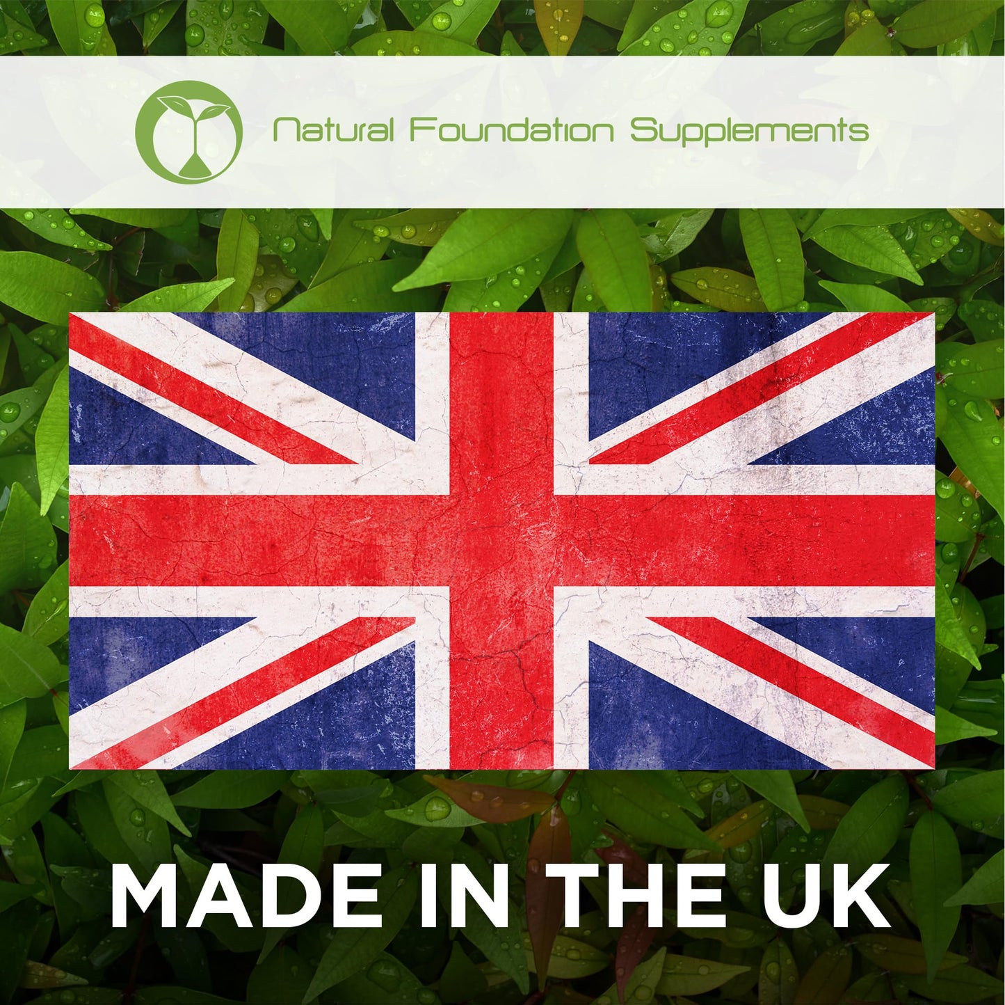 Digestive Probiotics for Gut Health 240 Tablets Supports Immune System & Digestive Health Made in The UK 3 Billion CFU Probiotic Supplement for Men & Women (240, Digestive Probiotics)