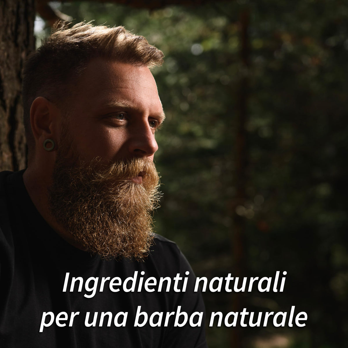 Mr Bear Family Natural Beard Oil for Men – Scented Beard Moisturiser Oil Contains Hydrating Jojoba + Argan Oils – Nourishing Mens Beards Softener for Healthier Hair Growth (Wildfire, 30ml)
