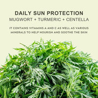 Matte Sun Stick SPF 50: Mugwort+Rice, Sunscreen Stick for Face & Body, Natural Roll on Sunscreen SPF 50, Waterproof Sun Cream Factor 50, Silky & Smooth, No White Cast, 15g