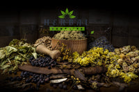 Wild Yam Root Dried Herb 50g - Dioscorea villosa Menopause Support Liver Gallbladder- Herbal Remedies by J.