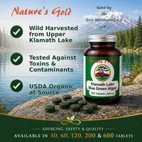 NATURE'S GOLD Nature’s Gold Klamath Lake Blue Green Algae 200 Tablets 500mg – Vegan. No Fillers. Tested for Purity