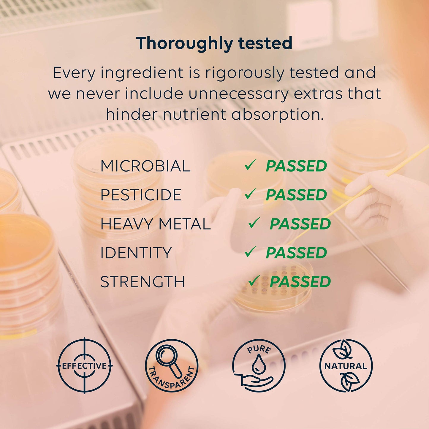 Vitamin D2, D3 + K - 1000IU [Food Based] | Contains Active Metabolites | Safe - Effective - Absorbable | For the immune system and maintenance of bones and teeth | Vegan | Link Nutrition | 30 Vegecaps