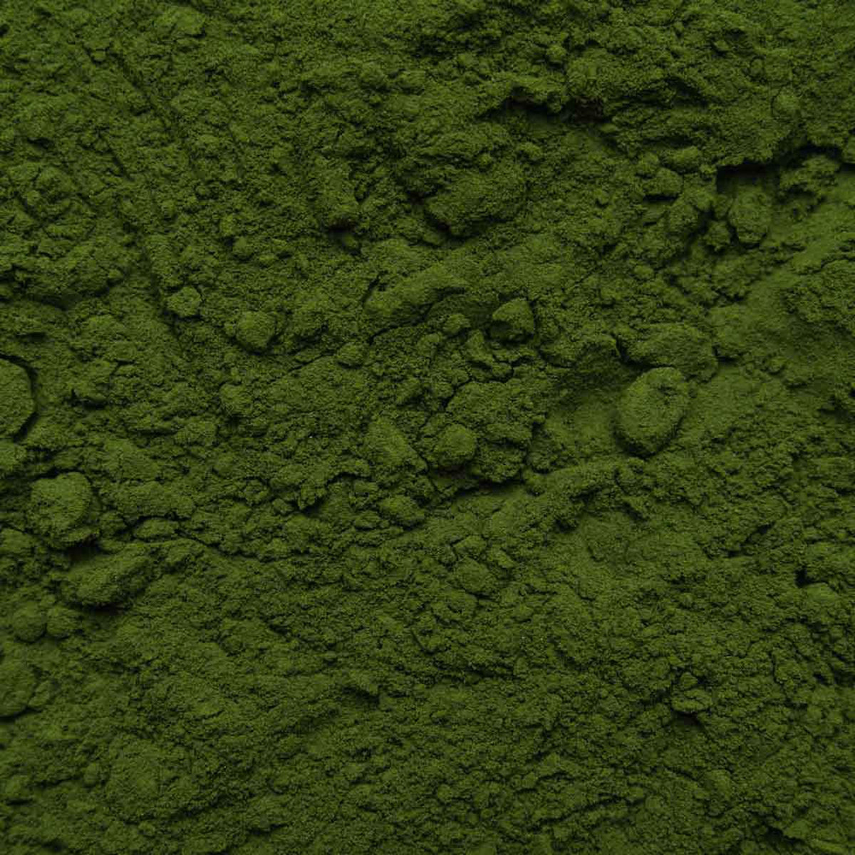Biotiva Chlorella Powder Organic 100g - Chlorella Vulgaris - Algae - Packed and Controlled in Germany (DE-ECO-005)