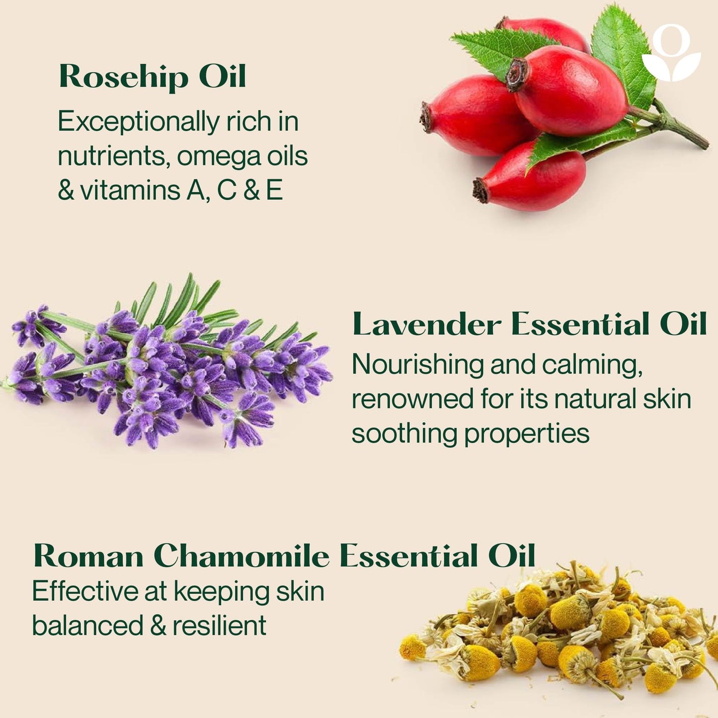 Balmonds Omega Rich Facial Oil 30ml - 100% Natural with Rosehip, Lavender & Vitamin E - Hydrating, Nourishing & Moisturising Serum