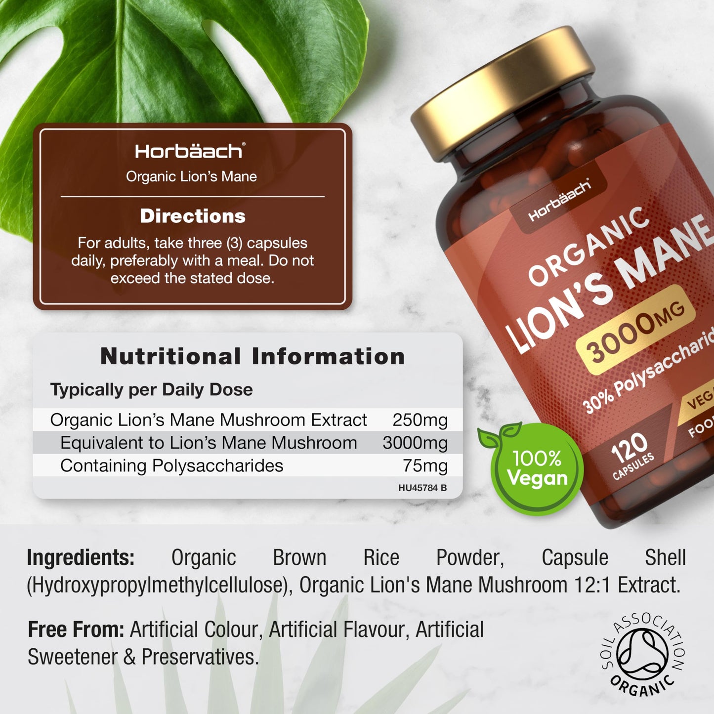 Organic Lions Mane Supplement 3000mg | High Strength Mushroom Extract | 120 Vegan Capsules | by Horbaach