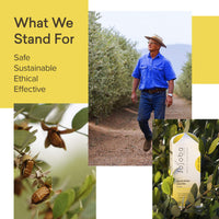 The Jojoba Company Pure Australian Jojoba Oil, Cold Pressed Australian Jojoba with Vitamin A, D, and E, Deeply Moisturising Face Oil, Jojoba Oil for Hair and Body, Gentle For All Skin Types 85ml