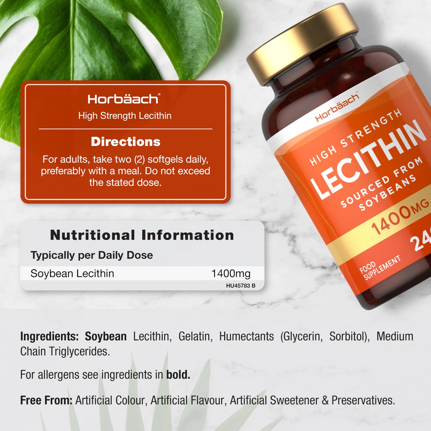 Horbäach Soy Lecithin 1400mg | 240 Softgel Capsules | High Strength Lecithin Sourced from Soy Beans | Preservative Free | by Horbaach