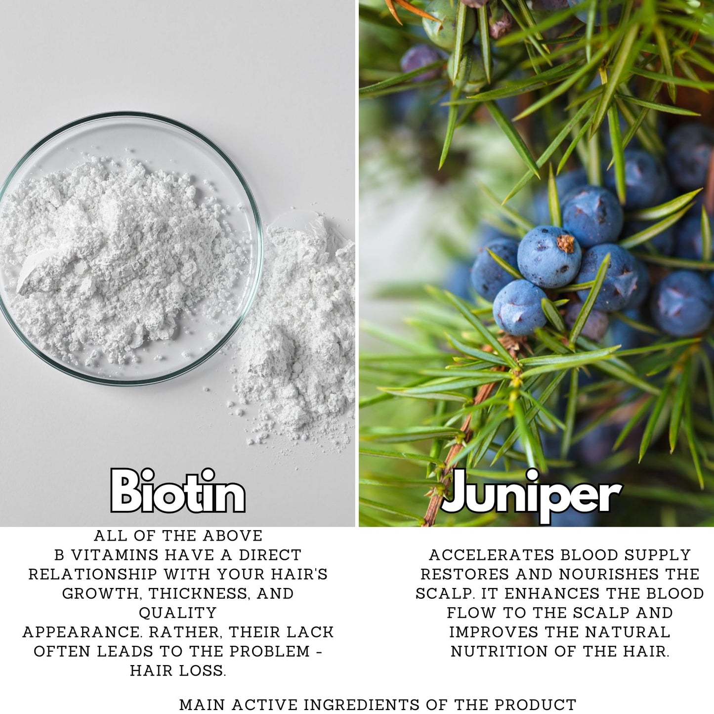 ALZEDA Anti Hair Loss Shampoo 200 ml with Biotin, Rosemary, Vitamin C, B12, B Complex, Mint | Anti Hair Loss | Hair Growth | for Men and Women | Hair Growth | Hair Loss