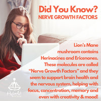 Hybrid Herbs HYBRID HERBS Organic Lion's Mane Mushroom Powder 56g - 10:1 Extract | Nootropic Brain Supplement for Focus, Memory & Concentration | High in Beta Glucans & Hericenones | Vegan | 56 Servings