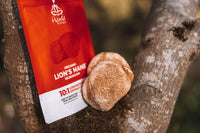 HYBRID HERBS – ORGANIC LIONS MANE MUSHROOM | 10:1 Extract Powder Lion’s Mane | Natural Nootropic Supplement for Focus, Concentration, Cognitive Brain Boost | Hericium Erinaceus | 56 Servings (56g)