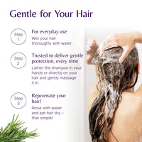 The House of Mistry Mistry's Aloe Jojoba Shampoo with Rosemary 200ml - Natural Hair Care Shampoo, Gentle, Strengthening & Nourishing - Suitable for All Ages and Hair Types, Additive Free, Vegan,
