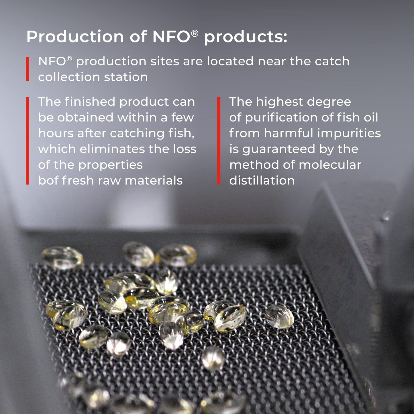 NFO Omega 3 6 9 Salmon Oil [120 Capsules] Made in Norway High-dose Salmon Oil with high DPA, EPA, DHA Concentration in The Form of triglycerides A Natural Complex with Fish Oil from Fresh Wild Fish