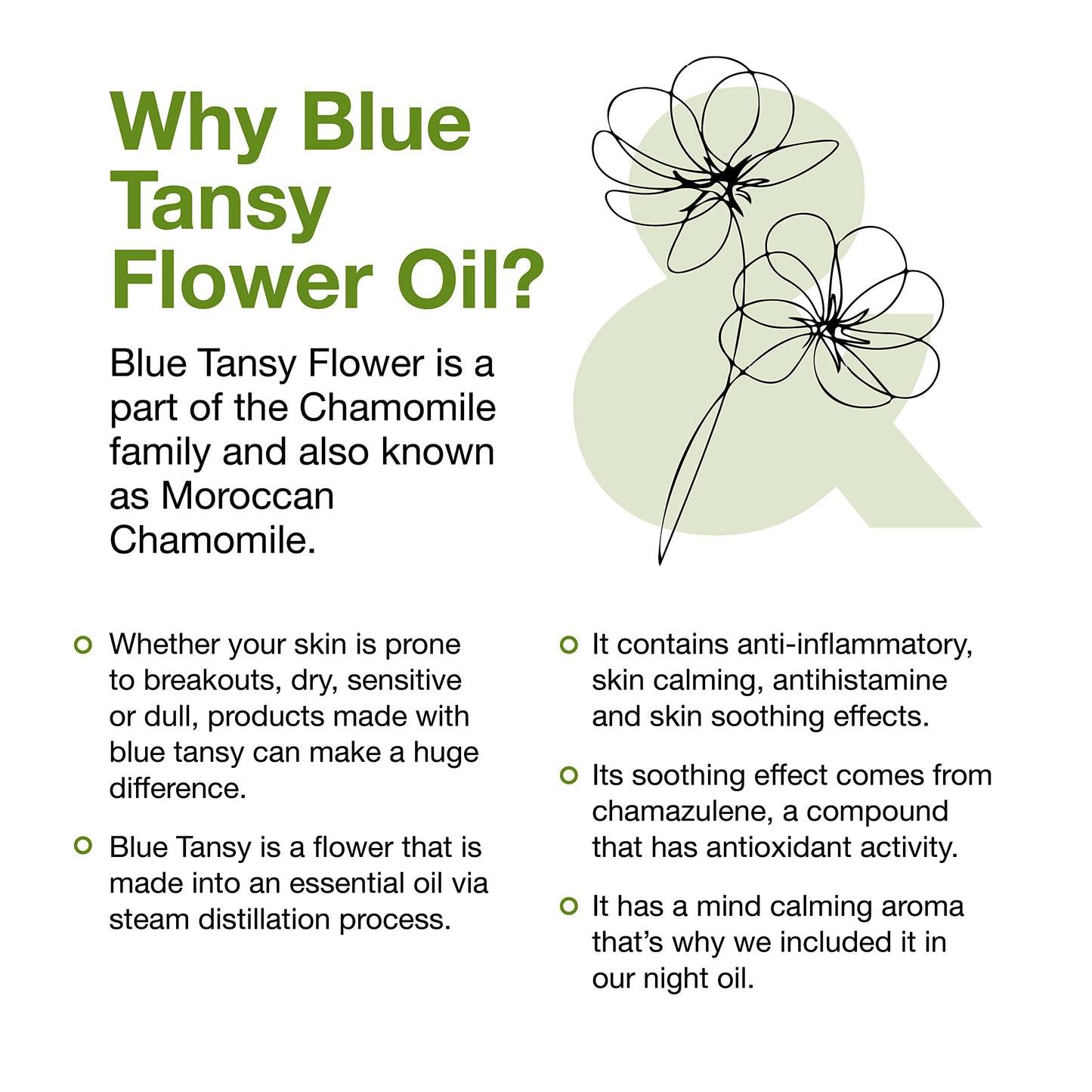 Love and Pamper Love & Pamper RESCUE & RECOVER Night Repair Serum - Plant Powered, Vitamin E, Targets Dark Spots, Reduces Fine Lines, Redness, Repair & Nourishes Skin, Smooths Texture Overnight