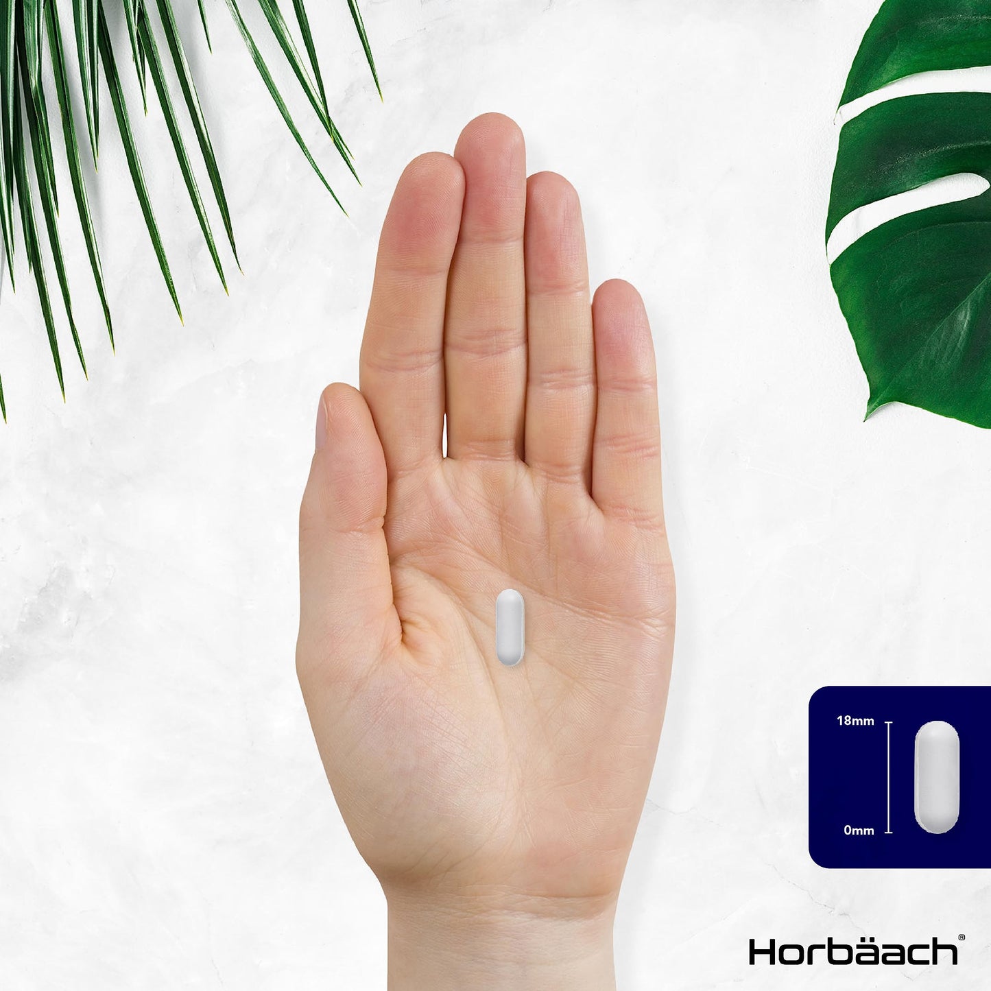 Magnesium Glycinate Supplement | 2000mg | 100 Vegan Tablets | High Strength Providing 400mg of Elemental Magnesium | Nervous System Support | by Horbaach