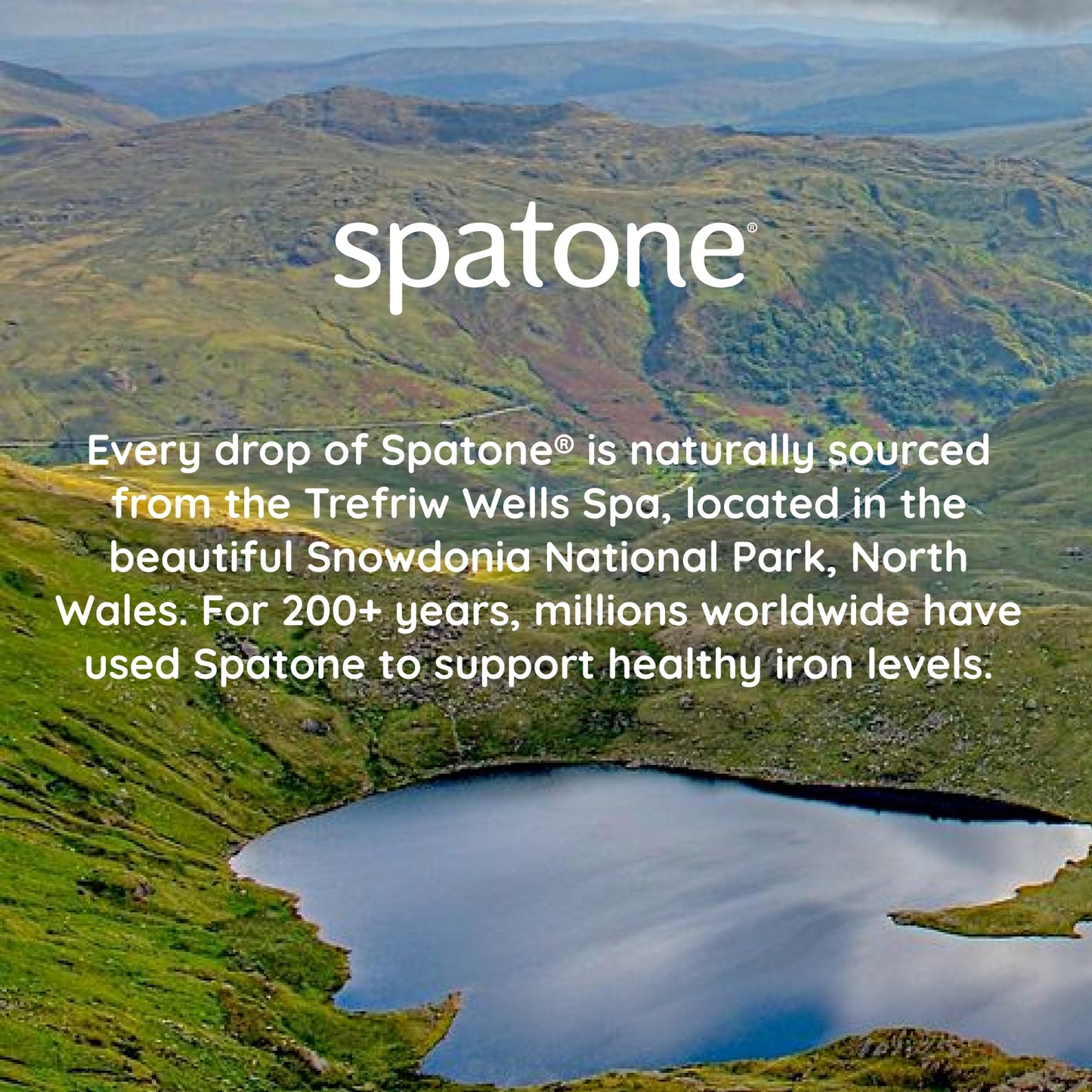 Spatone Natural Iron Supplement + Vitamin C (14 Sachets), Daily Convenient Liquid Iron Sachets, Nothing Artificial, Better Absorption than Tablets, Less Side Effects, Apple Flavour