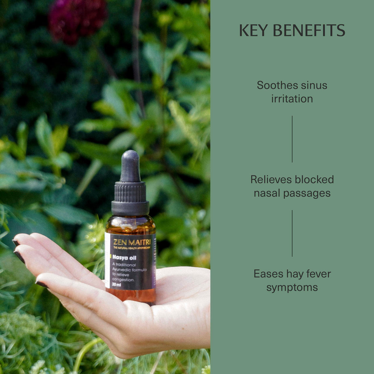 ZEN MAITRI Zen Maitri Nasya Oil – Steroid-Free Ayurvedic Nasal Oil for Sinus & Allergy Congestion, Natural Decongestant Support for Cold & Flu, 30ml