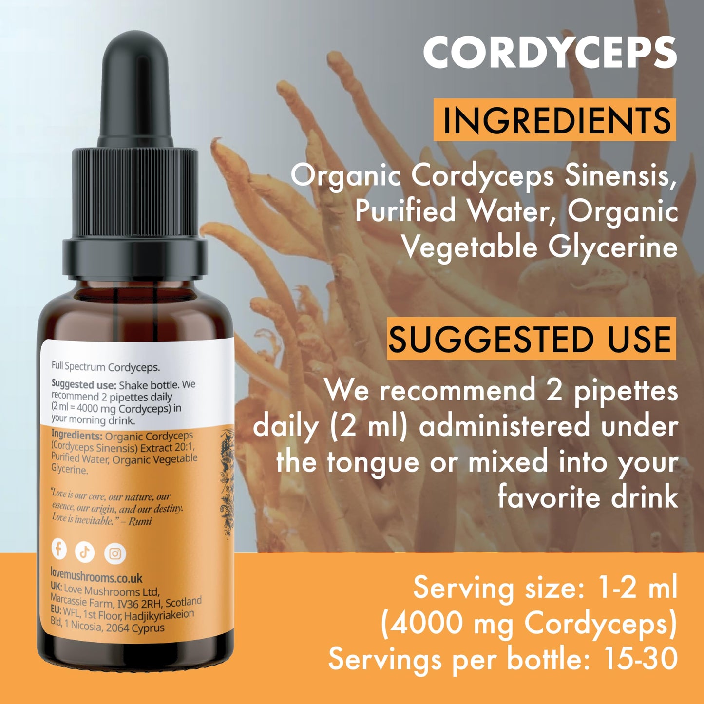 Love Mushrooms Organic Cordyceps Mushroom Supplement 4,000mg per 1ml | High Strength Liquid Drops 30ml for Natural Energy & Endurance | Vegan, Plant Based Food Supplement, UK Made, Sweet Taste