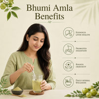 SVATV Herbal Bhumi Amla Powder (Phyllanthus Niruri) Chanca Piedra Herb | Antioxidant - 227g, 8oz, 0.5 Lbs