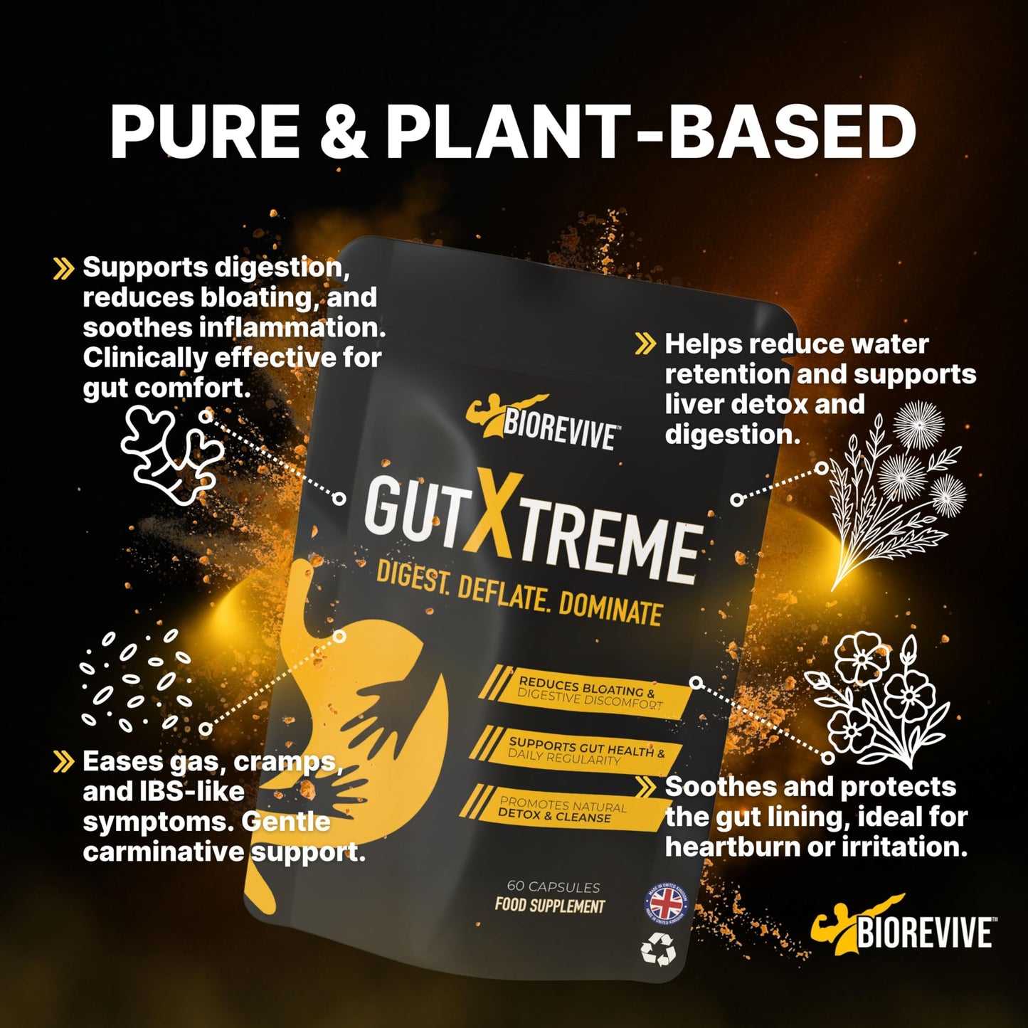 BioRevive Gut Xtreme – Advanced Gut Repair for Men & Women – Bloating Relief, Digestion Support & Gut Cleanse with Ginger, Dandelion, Fennel & Marshmallow – Reduces Water Retention & Soothes Gut Linin