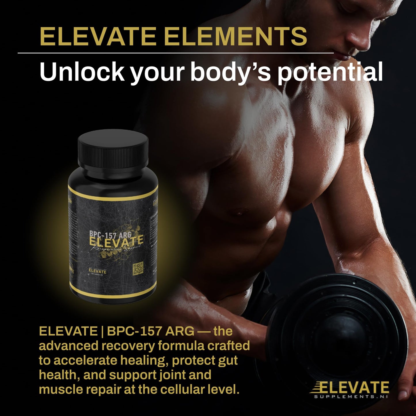 Elevate Supplements BPC 157 ARG, 60 Capsules | Accelerated Muscle & Tissue Recovery Peptide Supplement | Boosts Tendon, Ligament & Nerve Healing with No Injections | Supports Gut, Organ & Skin Health