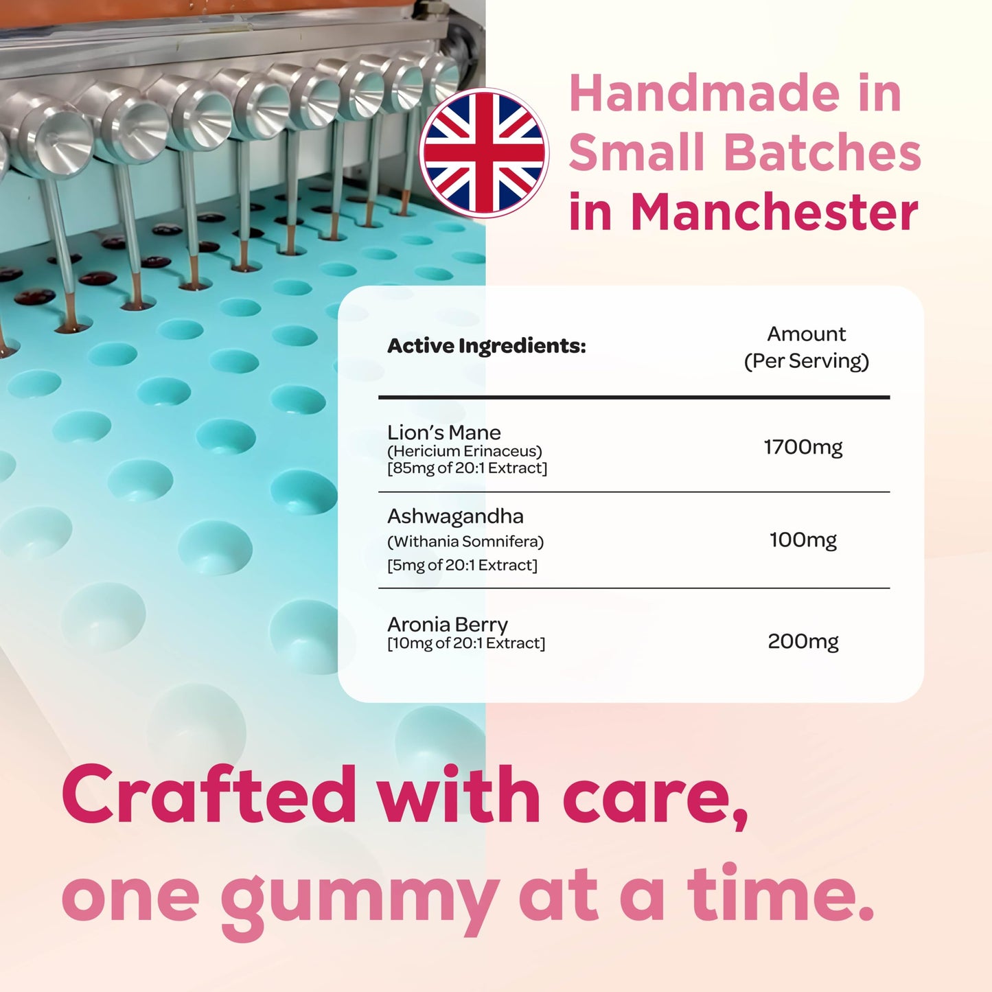 MYCO LOGIC Mycologic Mind Flow Lion's Mane Gummies for Adults, 30 Servings - Natural Clarity & Focus Gummies with Ashwagandha & Aronia Berry - Raspberry & Vanilla Flavour Brain Boost Supplement - 1 Month Supply