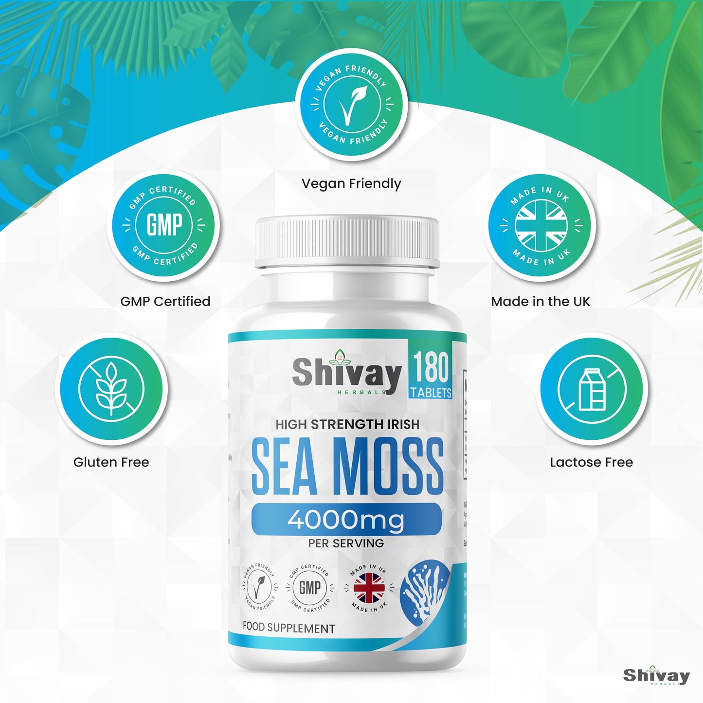 Sea Moss Extract 4000mg Per Serving | 180 Vegan Tablets - 90 Day Supply | High Strength Irish Sea Moss | Made in The UK by Shivay Herbals