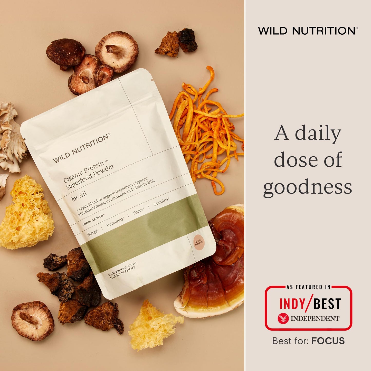 Wild Nutrition WILD NUTRITION Food-Grown® Vegan Protein Powder Super Food Blend | Organic Ingredients No Synthetics | Pea Protein, Sprirulina, Reishi, Chaga, Wheatgrass & More | Gluten Free