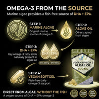 NutriVolv Vegan Omega 3 Algae Oil 500mg | 120 Vegan Softgels | DHA 200mg & EPA 100mg | Vegan Alternative to Omega 3 Fish Oil | Supports Eye, Brain & Heart Health | Essential Fatty Acid