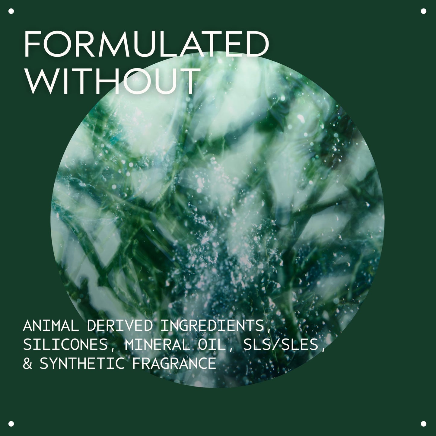 Aveda Botanical Kinetics Exfoliant | Liquid Face Exfoliator for All Skin Types | Smoothes, Clears, Refines Skin, 150ml