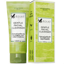 Eclat Skincare Tea Tree Gentle Facial Cleanser, All Natural Simple Face Wash with Aloe Vera, Clarifying & Deep Cleansing Foaming Facial Wash, Oily Skin Facial Cleanser, Facial Wash for Women Anti Aging