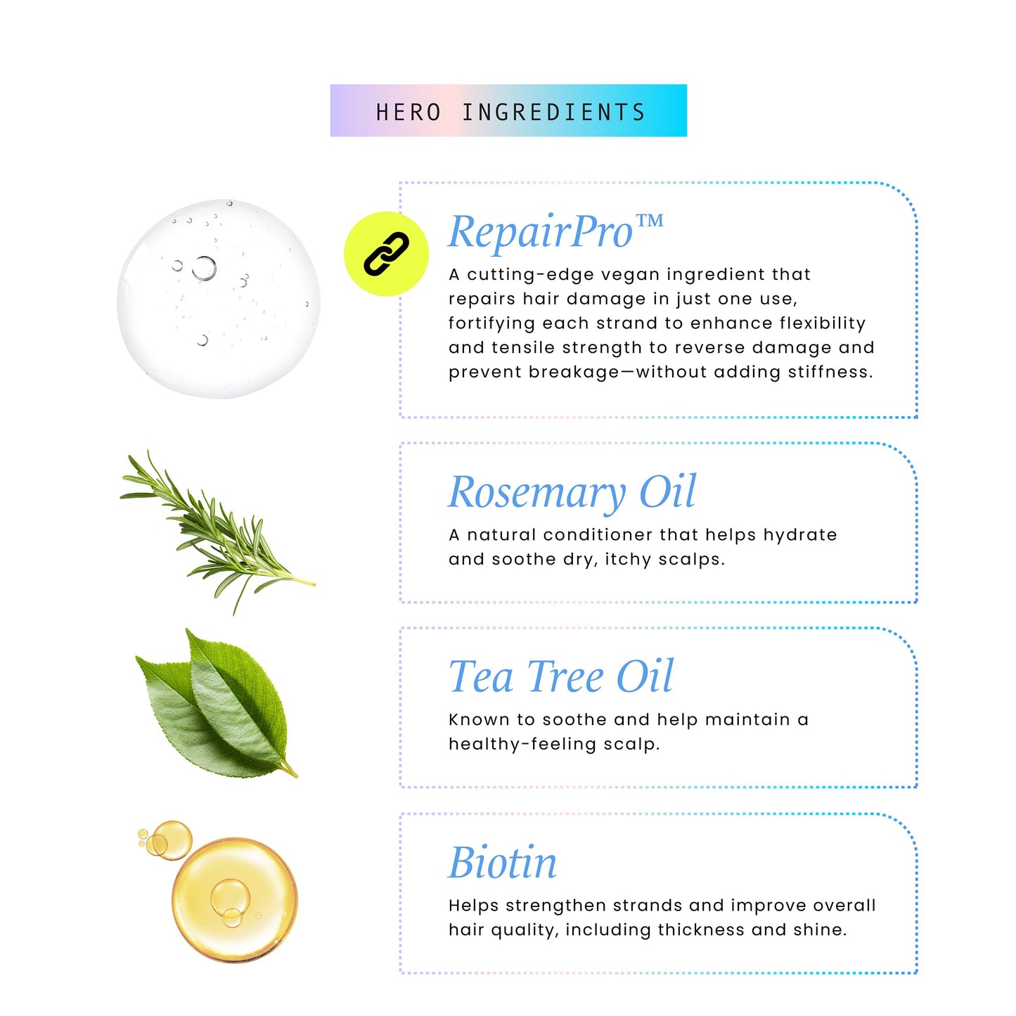 HASK Strength & Length Boosting Scalp & Hair Serum with Rosemary Oil, Tea Tree Oil and Biotin, Repairs Damage, Strengthens Strands, Sulfate-Free, Cruelty-Free – 100 ml