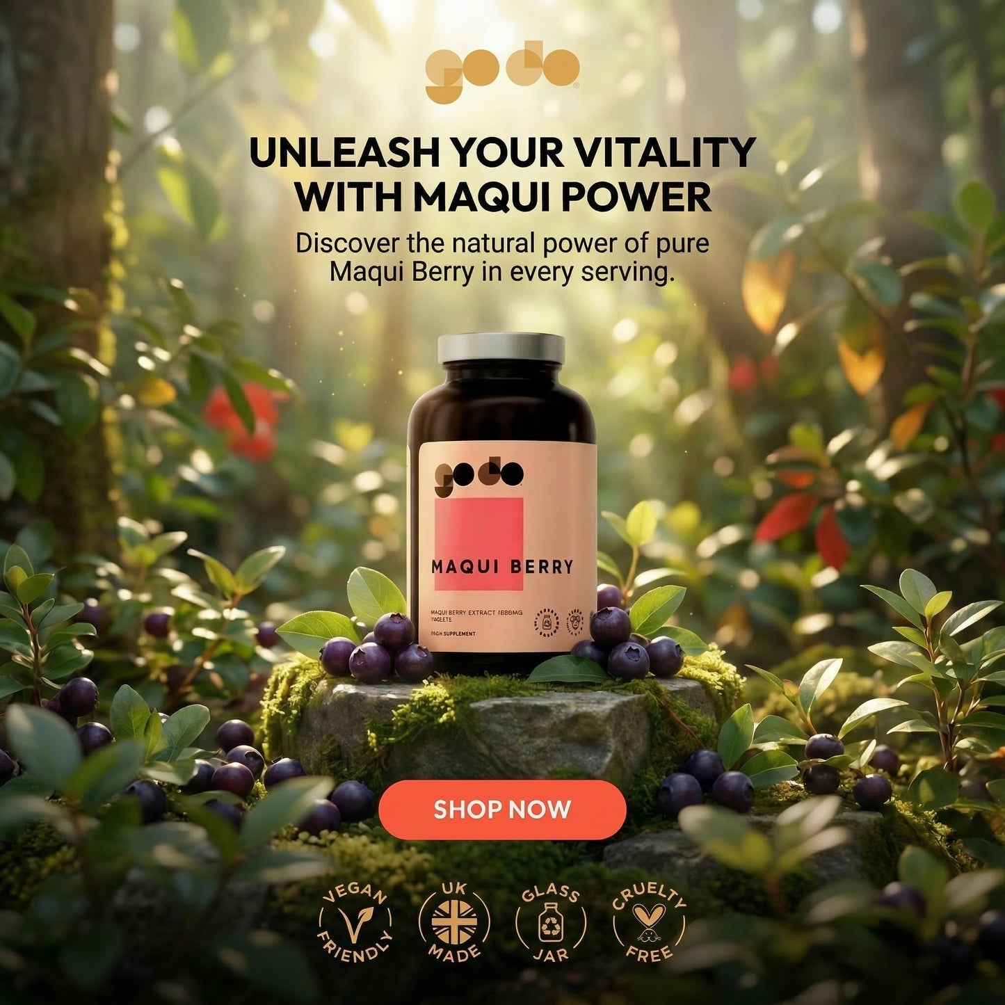 Fitness Health Maqui Berry Tablets 1000mg 360 Tablets | Suitable for Vegan | Health & Wellbeing | Pure Maqui Berry Extract