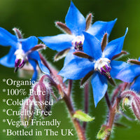 Feelia - Organic Borage Oil - Cold Pressed, Rich in Omega 6, Great for Inflammations, 100% Pure & Organic - 100ml